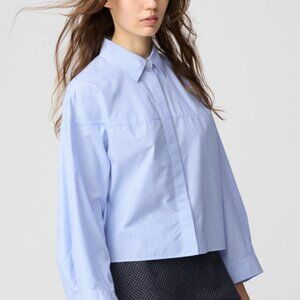 Uniqlo Blue and White Striped Button Down Shirt
